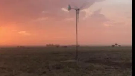 Horizontale 600-W-Windkraftanlage, geeignet für Gebiete mit geringem Wind